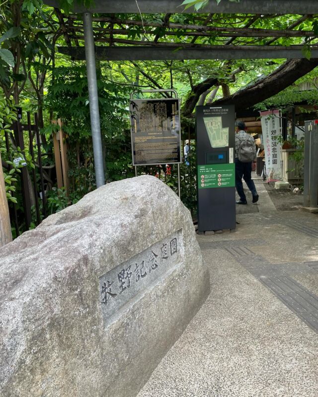 2024/05/15 
大泉学園駅南口にある「牧野記念庭園」へこれラボメンバーで散策へ行ってきました
新緑が陽の光にキラキラ✨️として風も心地良くて
資料などじっくり見る時間もなかなか良いですね
牧野博士の人となりがそのまま感じられる庭園でした☘ ̖́-