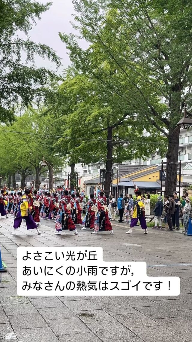 #よさこい #光が丘公園 
みんな頑張って〜😊
